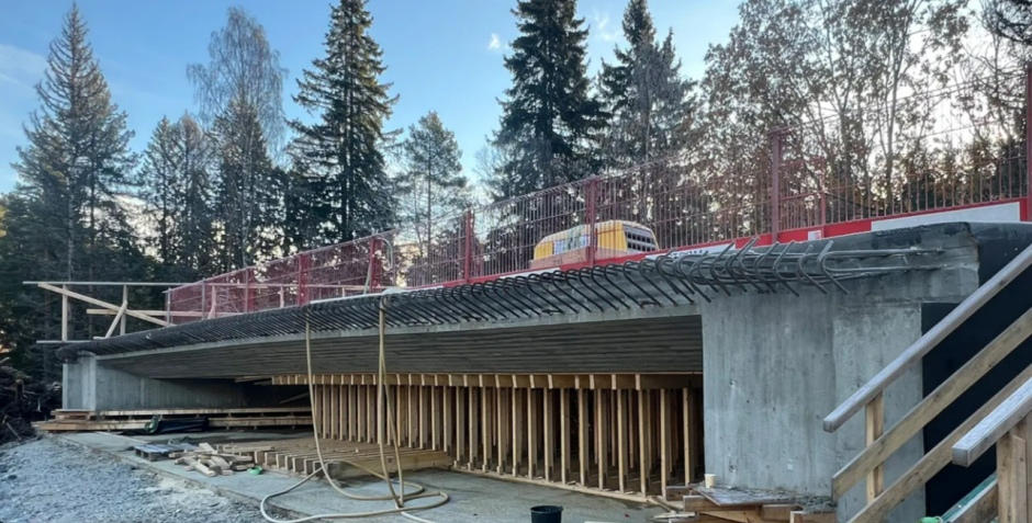 Norvège : un pont installé en une nuit